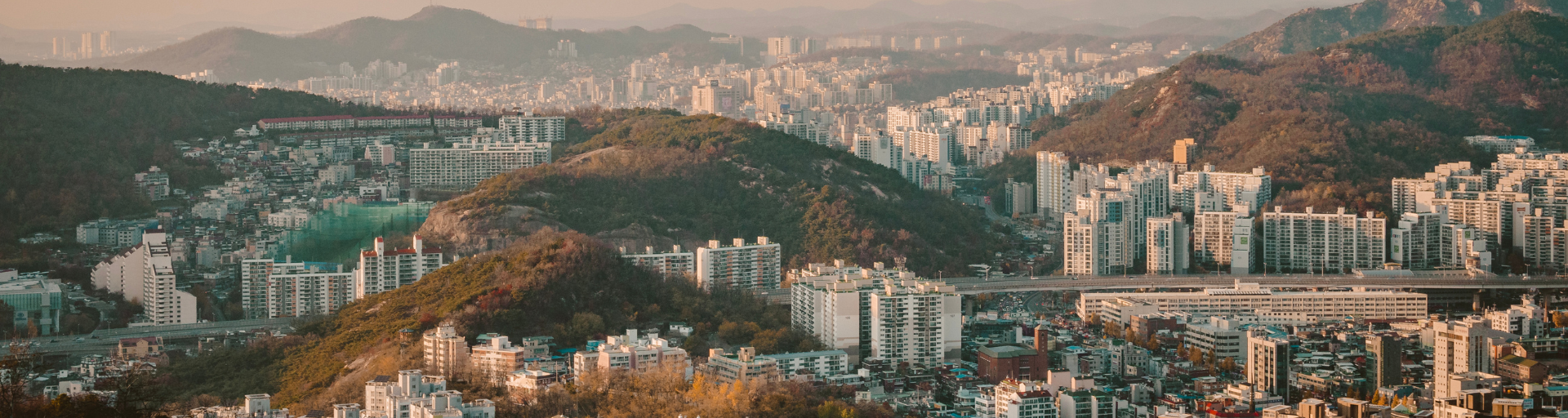 A view of Seoul on the Global Network Program