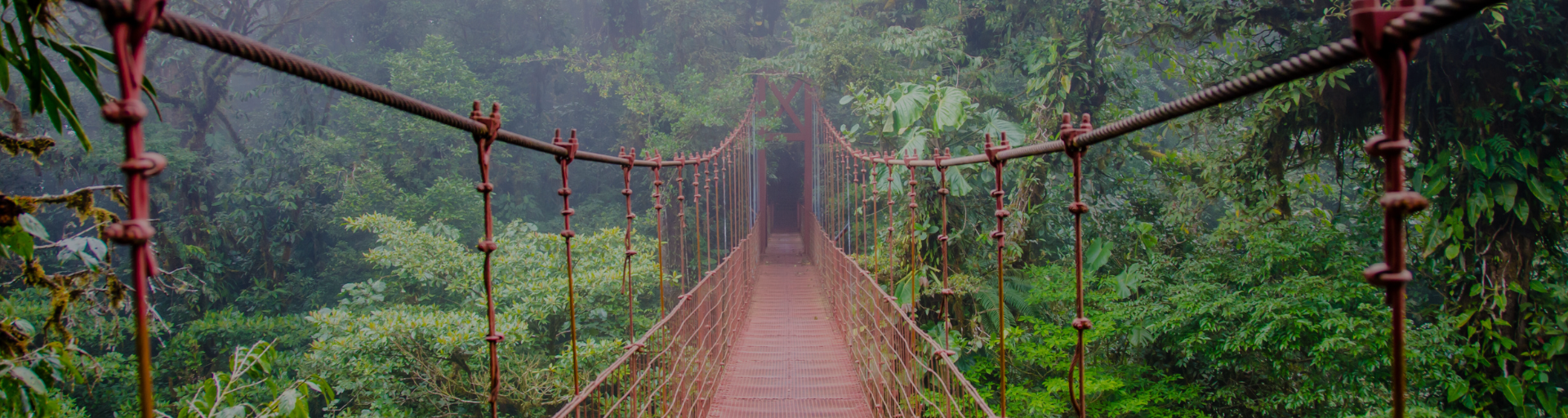 Bridge in Monteverde, Costa Rica