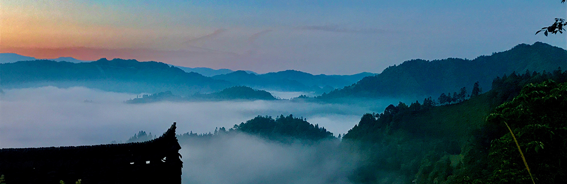 Image of mountain valleys covered in trees