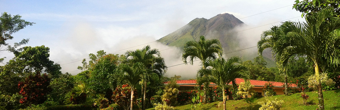 A building surrounded by palm trees in front of a green mountain