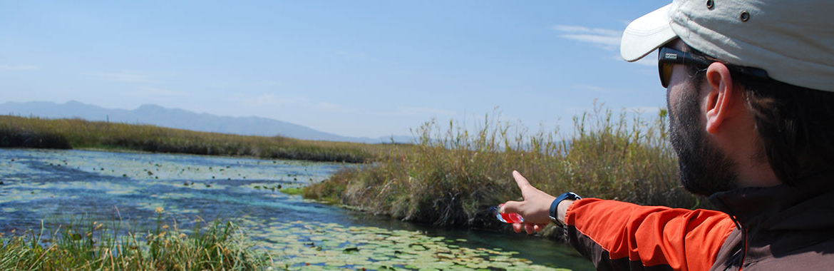 Person pointing out to a swampy body of water