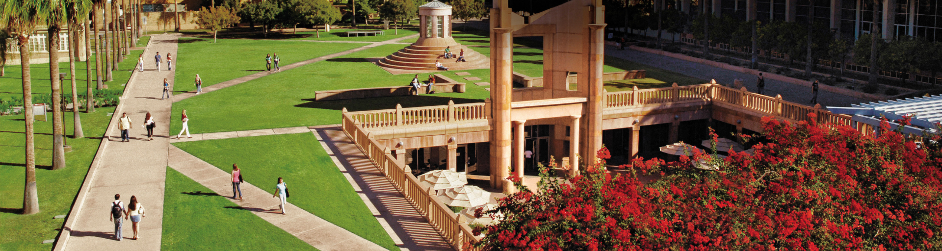 hayden lawn
